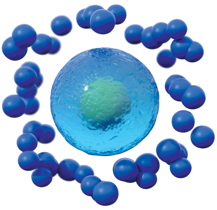 Cell culture monitoring: exploring permittivity measurements versus viable cell counts