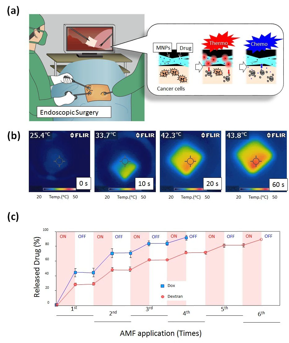 A) Schematic illustration for on-off switchable temperature-responsive fiber mesh for cancer thermo-chemotherapy. B) The infrared thermal images of MNPs-loaded nanofiber mesh in AMF. C) On-off switchable drug release profiles for DOX and dextran from temperature-responsive nanofiber meshes in response to AMF application.