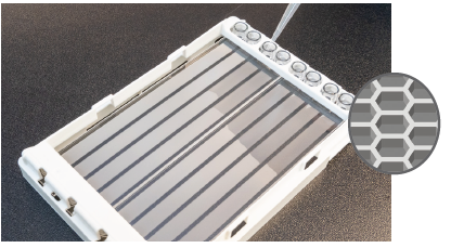 The principle of digital PCR