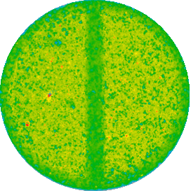 Raman correlation map showing the spatial distribution of loperamide hydrochloride; red sites are those with the highest, and blue sites are those with the lowest correlation of the Raman spectrum with that of loperamide hydrochloride.