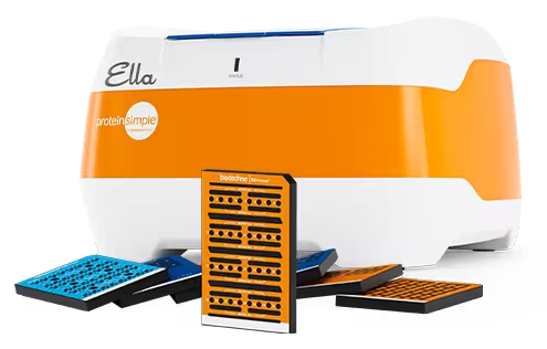 Adeno-associated virus characterization