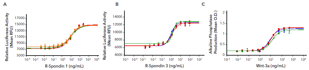 Lot-to-Lot Consistency Testing of R&D Systems Recombinant Human R-Spondin 1, R-Spondin 3, and Wnt-3a Proteins