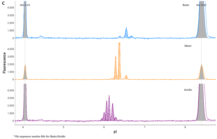 AAV9 Capsid Protein Fractionation. (A) AAV9 was loaded onto a Flex cartridge. (B) Capsid proteins mobilized out of the window within 30 min. (C) Fractions were checked on an icIEF cartridge to ensure isolation of individual acidic (VP1), main (VP3), and basic (VP2) species.