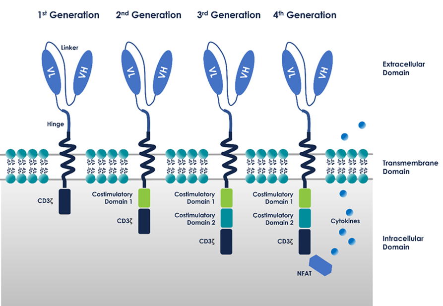 Immune Cell Hacking: Challenges and Clinical Approaches to Create Smarter Generations of Chimeric Antigen Receptor T Cells