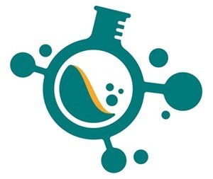 Understanding the process of drug development CMC