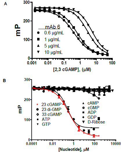 A. Competition curves indicate displacement of tracer by cGAMP and show dependence of dynamic range on mAb concentration. B Specificity of mAb: Competition binding curves show outstanding selectivity for cGAMP vs. cGAS substrates, ATP and GTP, as well as related molecules.