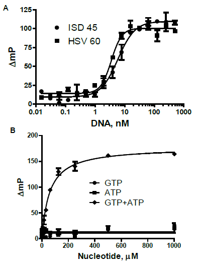 A. DNA dependence cGAS reactions as in Figure 4, with cGAS-6xHis at 10 nM; half maximal responses of 3.5 and 5.9 nM for HSV 60 and ISD 45, respectively. B. ATP and GTP dependence: ATP and GTP were titrated separately and simultaneously; cGAS reactions as in Figure 4, with cGAS-6xHis at 10 nM.