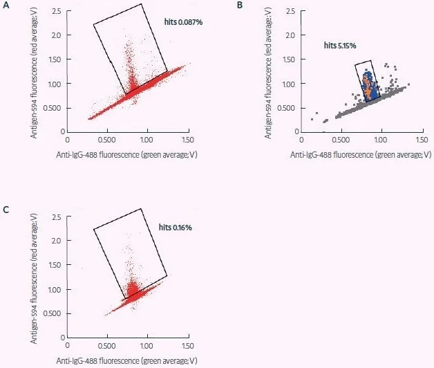 Sorting of fresh and revived murine ASCs for CRA target specificity (adapted from Gaa et al., 2021, under CC BY 4.0 License). A) Sort of freshly obtained murine plasma cells for secreted antibodies specific for a CRA. B) Dispensing of sort shown in (A) – binders later confirmed as positive are shown in red, dispensed droplets in light blue, and non-dispensed droplets in gray that were used as a negative reference signal during dispensing. Positions of positive signals confirm appropriate gating. C) Sort for CRA specificity as in (A), applying frozen and revived plasma cells. The statistics of these antibody hit discovery campaigns are shown in Table 2.