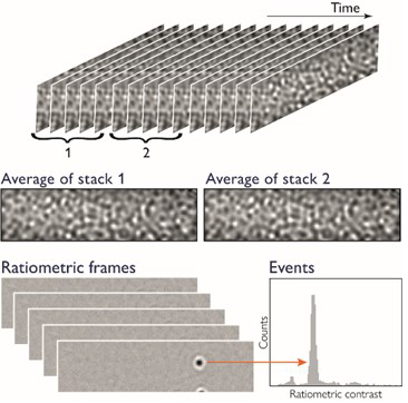 Generation of the mass photometry signal