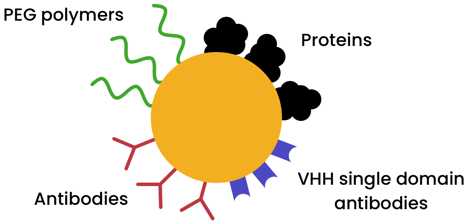What are the drug delivery applications of nanoparticles?