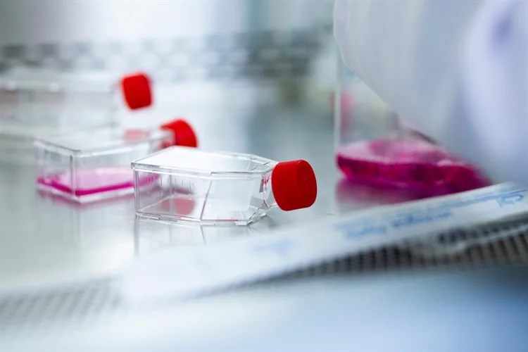 Cutting-edge spectroscopy methods for protein analysis