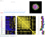Using cell painting for image-based phenotypic profiling in 3D spheroid model of breast cancer