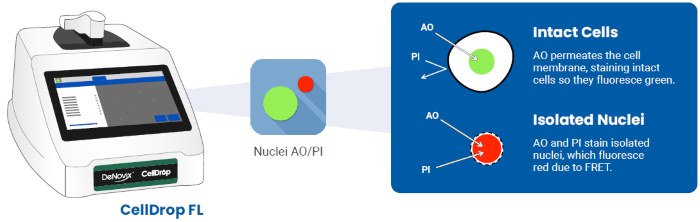 Quantification and quality assurance of isolated nuclei