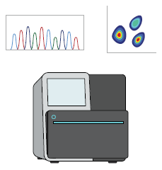 Quantification and quality assurance of isolated nuclei