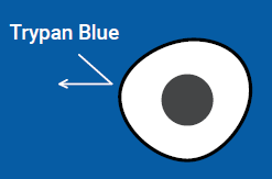Selecting the right viability assay