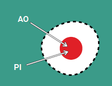 Selecting the right viability assay