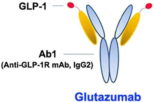 Schematic diagram of Glutazumab