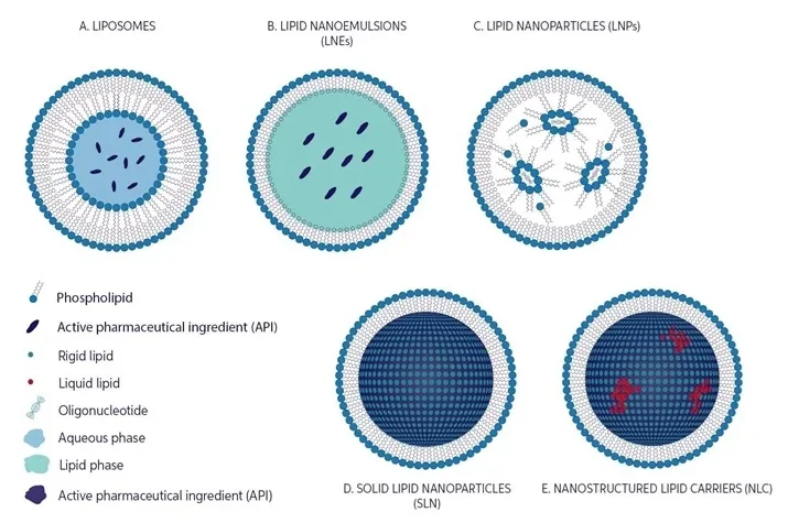 Overview of the different classes of lipid-based nanoparticles. Particle/droplet sizes among the different types can range from ~50-500 nm
