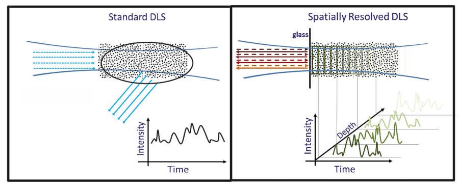 Conventional DLS versus Spatially Resolved-DLS. Left: Standard DLS detects only an average scattering signal Right: SR-DLS detects scattered light fluctuations resolved as function of depth.
