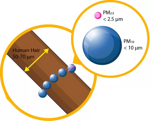 Particulate matter size comparison. Adapted from the US EPA 3