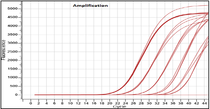 Dilution series (5622 copies/μl, 562 copies/μl, 56.2/μl copies, 5.62/μl copies and 0.56/μl) of Dengue Serotype 2 nucleic acid template run on the Insta Q96® Plus Real Time PCR Systems