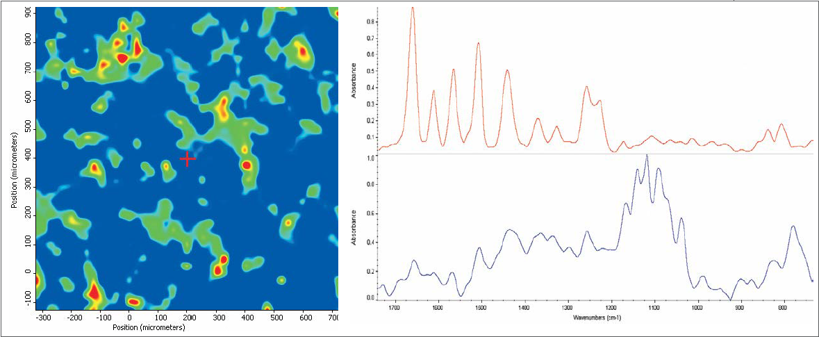 (Left) Chemical image of prescription drug. (Right) Red spectrum is the active ingredient and the blue spectrum is the excipient. 