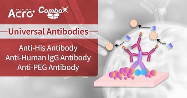 Universal Antibodies