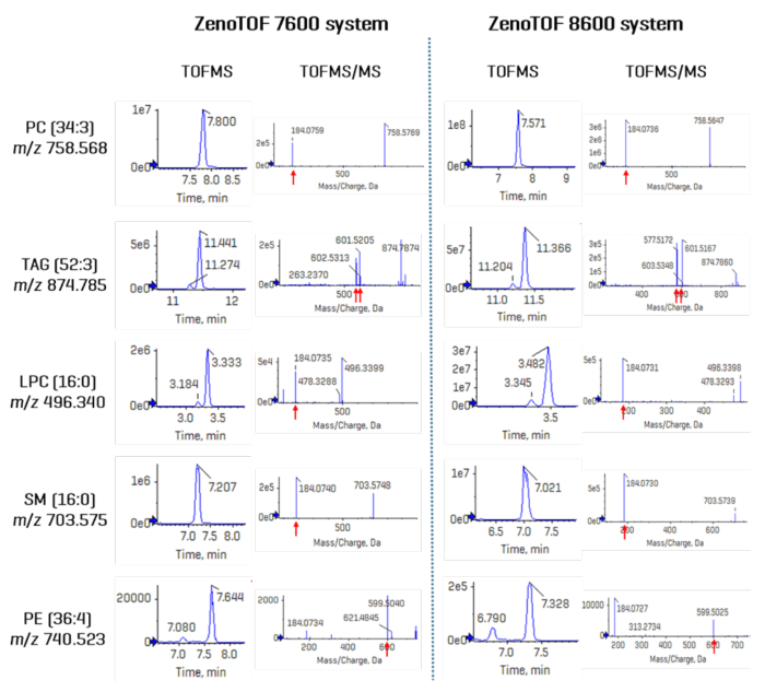 Comparison of DDA data acquired on the ZenoTOF 7600 and 8600 systems. Five compounds were selected across different lipid classes to show the XIC intensities and the associated TOF MS/MS spectra. Indicated by red arrows, diagnostic fragment ions for each lipid are shown in each product ion spectrum. Because these data were acquired in the positive ion mode, polar lipids were only identified at the sum-composition level; TAG 52:3 can be speciated at the fatty acid level in this ionization mode. Overall, TOFMS XIC peak intensities for every compound were increased significantly (~10-fold) using the ZenoTOF 8600 system
