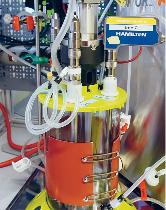 Impedance probe in bioreactor