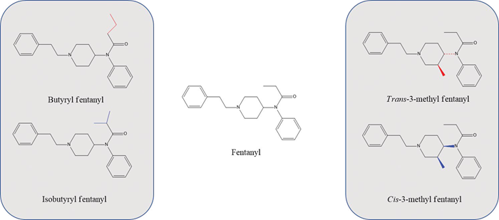 Structures of fentanyl and two pairs of FA isomers in this study