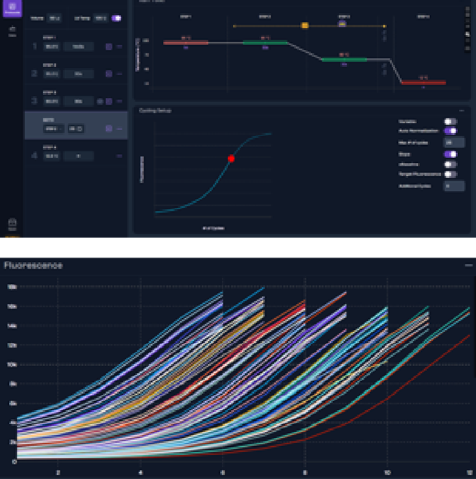 Graphical view of setting AutoNorm on iconPCR and 3b. resulting amplification of each sample to its set threshold