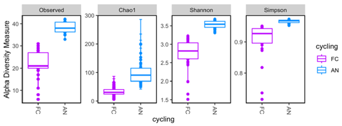 Alpha diversity analysis comparing observed richness and indices