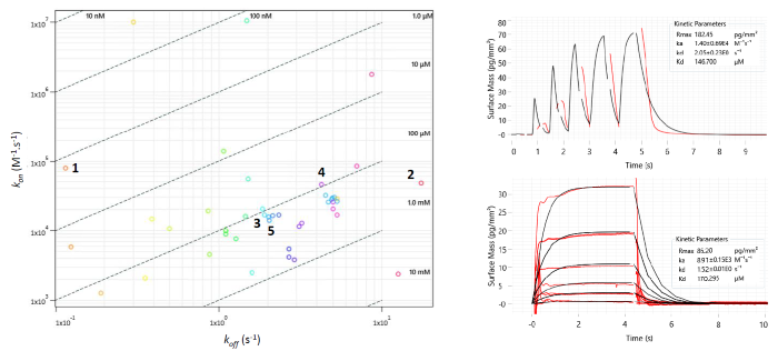 Left: Two-dimensional isoaffinity kinetic plot of association (kon) and dissociation (koff) rate constants from waveRAPID® screen of 51 virtual hits. The 36 primary hit binders are shown. Diagonal lines indicate equilibrium binding constants (KD). Each circle represents a binder and is coloured according to the dissociation rate. Top right: WaveRAPID® GCI sensorgram of compound 5 (100 μM) binding to BRPF1b. Bottom right: Multicycle kinetics GCI sensorgram of 5 binding to BRPF1b