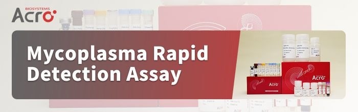 Biopharma release and mycoplasma testing