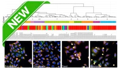 Image analysis software IN Carta