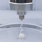 TissueFab® bioink Bone Support Gel