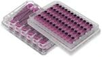 PhysioMimix® Liver-12 and -48 plates for in vitro 3D human liver tissue recreation