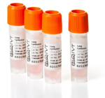 Dissociated tumor cells (DTCs) from tumor indications