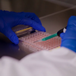 Retinal pigment epithelium for disease modeling