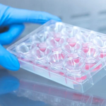 Lung ciliary beat analysis for lung small airway epithelial cells