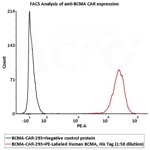 ACROBiosystem's PE-Labeled Human BCMA / TNFRSF17 Protein, His Tag (Site-specific conjugation)
