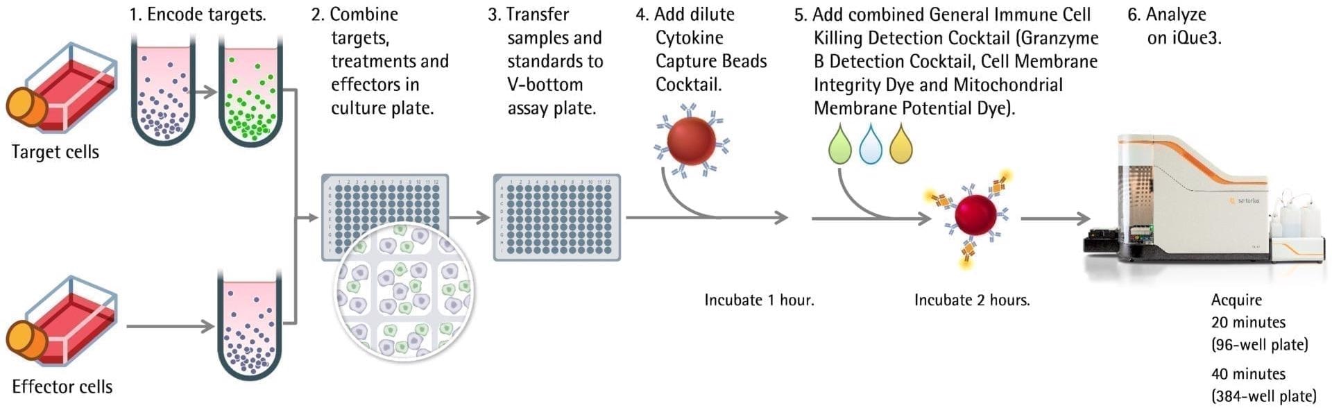 iQue® Immune Cell-based kits for immunophenotyping and function
