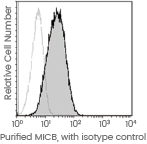 CAR-NK Cell Therapy: Therapeutic and recombinant targets