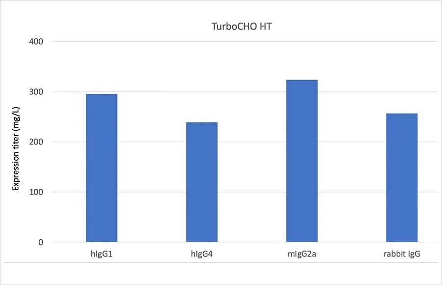 High throughput (HT) gene to antibody platform-TurboCHO