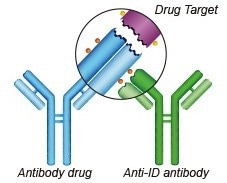 A novel rabbit MonoRab technology