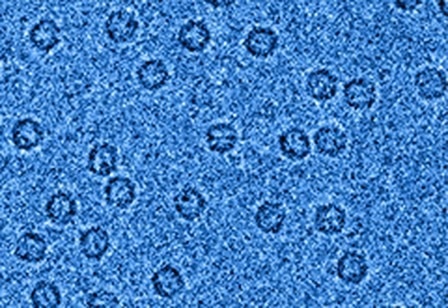 SINGLA hybrid-pixel electron detector