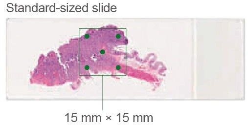 NanoZoomer S20MD - Whole slide scanning for in vitro use