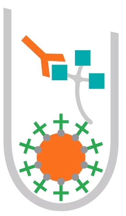 The IMMULITE® 2000/XPi 3gAllergy™–Allergen-specific IgE assay