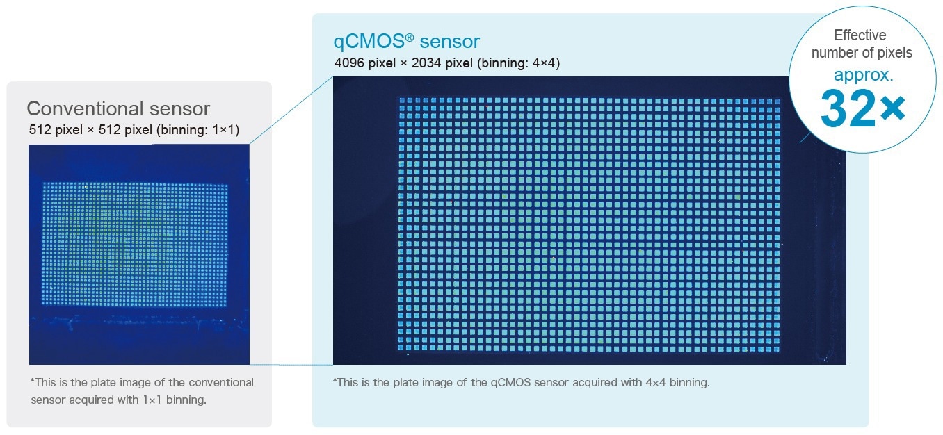 FDSS-GX Kinetic Plate Imager for HTS