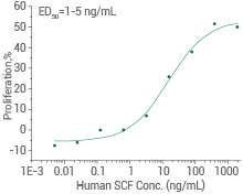 SCF/c-Kit signaling axis: Regulating cancer stemness